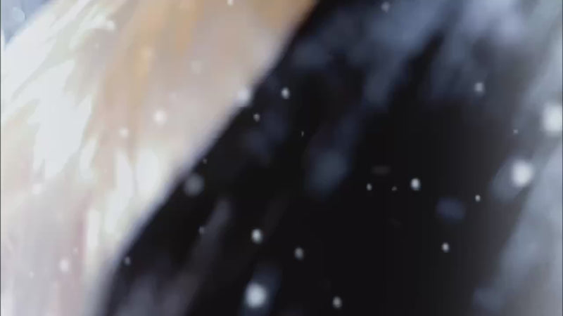 holiday shop video desktop